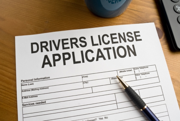 LTO eyes online car application for drivers’ license 