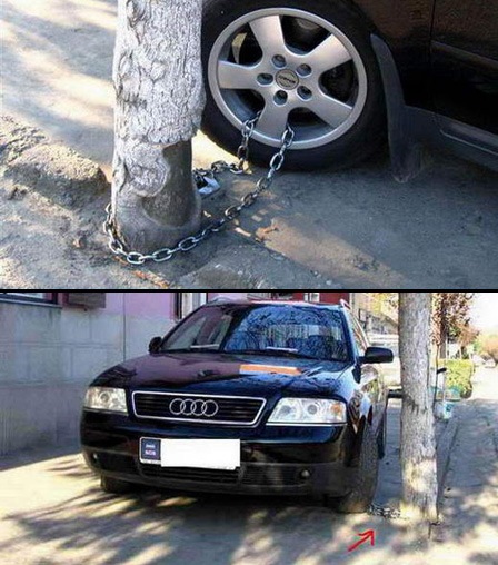 To avoid falling victim to carnappings, it is best to always be careful and secure your parking area An Audi being tied to a tree
