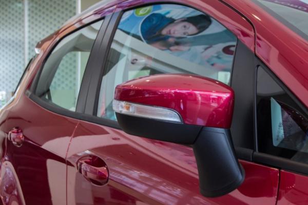 Ford EcoSport 2018 vs 2017: Exterior Ford EcoSport 2017 side mirror