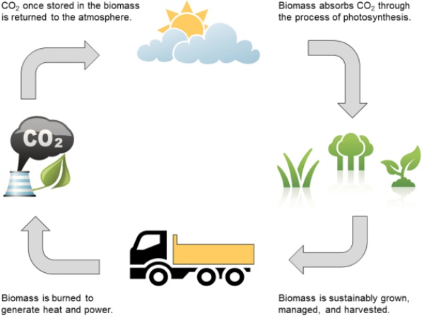 carbon neutral fuels