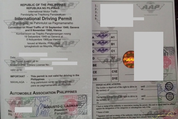 drive license international