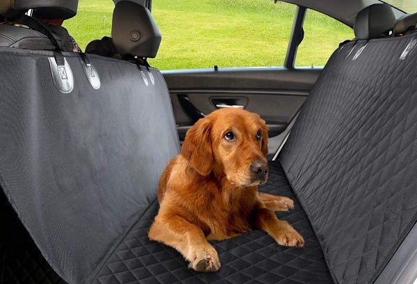 Dog urine on leather car seat, DON'T mix 