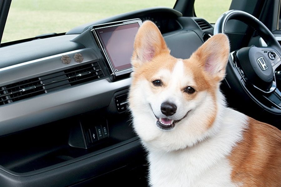 Dog lovers will have more reasons to buy a Honda 