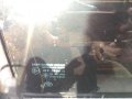 Ford Escape 2006-5