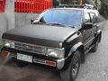  Nissan Terrano for sale-0