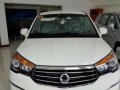 Ssangyong Rodius 9 seaters-2