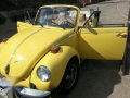 Volkswagen Classic Restoration-4