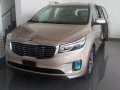 2016 Kia Carnival for sale in Carmona-1