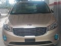 2016 Kia Carnival for sale in Carmona-2