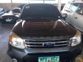 2014 Ford Everest 4x2 for sale-1