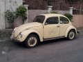 volkswagen beetle-1