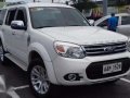 2014 Ford Everest Automatic Diesel - AUTOMOBILICO SM BICUTAN-3