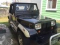 Wrangler Jeep-0