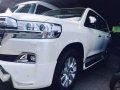 2017 Toyota Land Cruiser VXL Exclusive Diesel-0