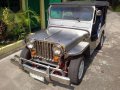 Owner Type Jeep FPJ Malabon Jewels (Diesel Gemini)-0