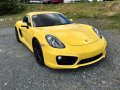 Porsche Cayman 2014 for sale-1