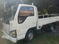 ISUZU Elf Truck-3