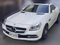 2014 Mercedes Benz SLK250 CATS -3