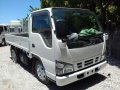 2017 Isuzu Elf 10ft Dropside White For Sale-0