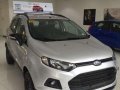5K DOWNPAYMENT For ALL Variant of 2017 Ford EcoSport!-0