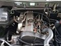 2005 Mitsubishi Adventure GLX Diesel mt-11