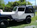 Wrangler Jeep White 3AU Engine For Sale-0