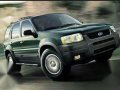 Ford Escape 2004 Green AT Gas-0