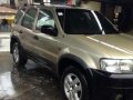 Ford Escape 2003 2.0 AT Gas Golden -7
