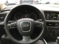 Audi Q5 2010-1