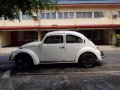 Volkswagen Beetle-2
