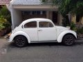 Volkswagen Beetle-1