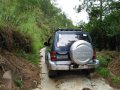 mitsubishi pajero at 3doors-2