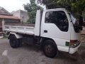 Isuzu Elf Mini Dumptruck-0