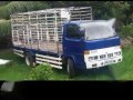 Isuzu elf 4BD1 Blue MT For Sale-1