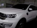 Assume Balance 2016 Ford Everest Trend Matic dsl-1