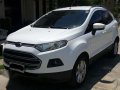 2014 Ford Ecosport Trend 1.5 MT Gas-0