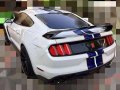 New 2017 Ford Mustang SHELBY GT350R-3