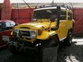 Toyota Land Cruiser 1979 for sale-2