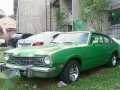 For sale 1974 Ford Mercury Comet-2