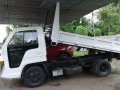 Isuzu Elf Mini Dump eagle in line-2