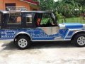 Owner Type Jeep For Sale-3