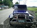 Wrangler jeep-3
