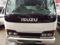 Isuzu closed van( local)-0
