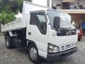 HIGH DECK Isuzu Elf Giga Nkr Mini Dump Truck Eagle eye JAPAN CBU-0