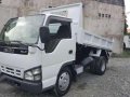 HIGH DECK Isuzu Elf Giga Nkr Mini Dump Truck Eagle eye JAPAN CBU-1