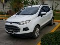 Ford Ecosport-1