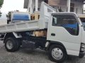 HIGH DECK Isuzu Elf Giga Nkr Mini Dump Truck Eagle eye JAPAN CBU-3