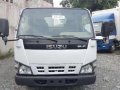 HIGH DECK Isuzu Elf Giga Nkr Mini Dump Truck Eagle eye JAPAN CBU-2