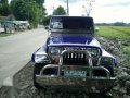 Wrangler jeep-6