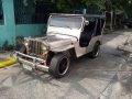 Owner Type Jeep FPJ Jewels (Isuzu Diesel)-10